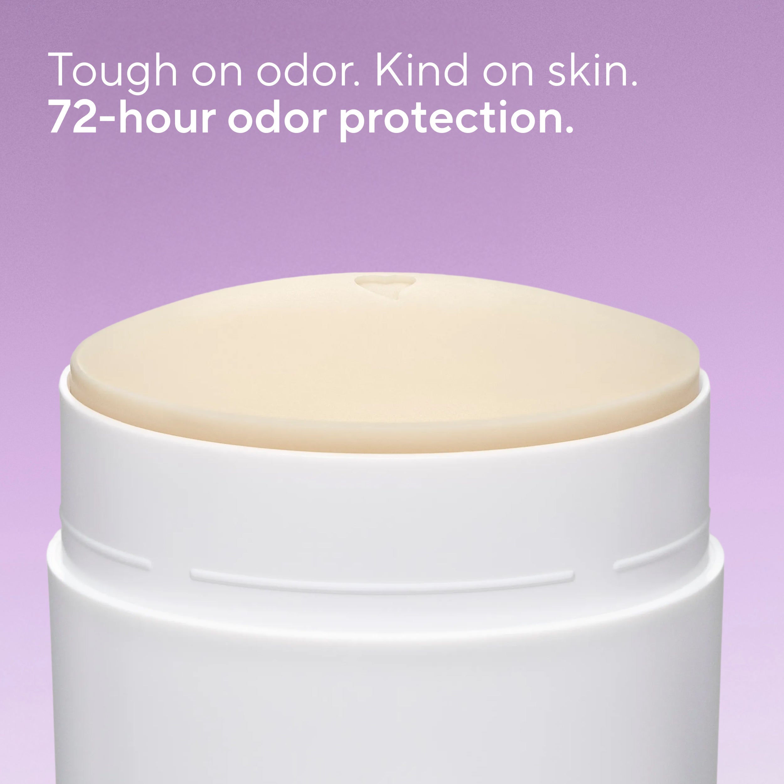 Deodorant Stick Classic Lilac and White Tea 2.65oz Daily Routine