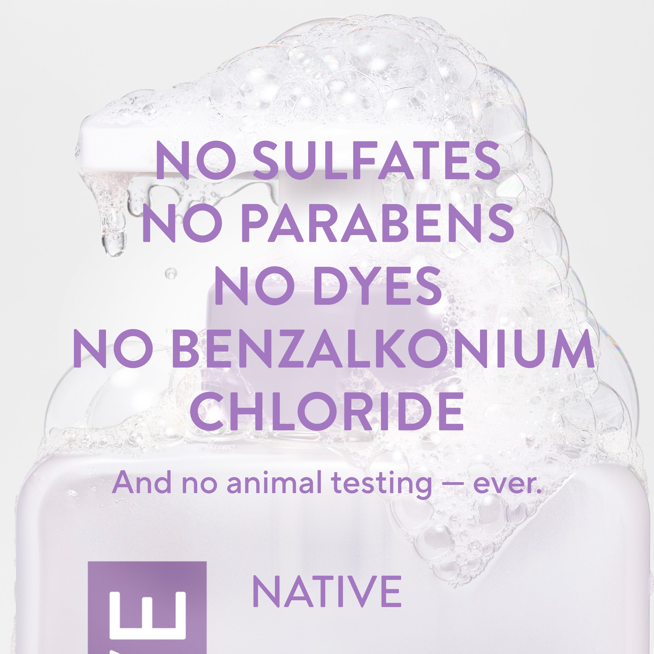 Hand Soap Classic Lilac and White Tea 13oz Daily Routine