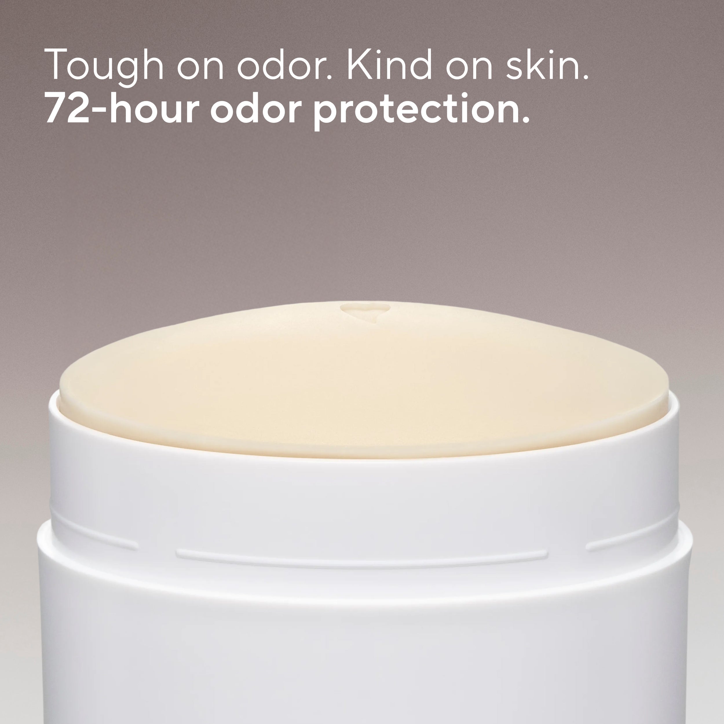 Deodorant Stick Classic Santal and Leather 3.1oz Daily Routine