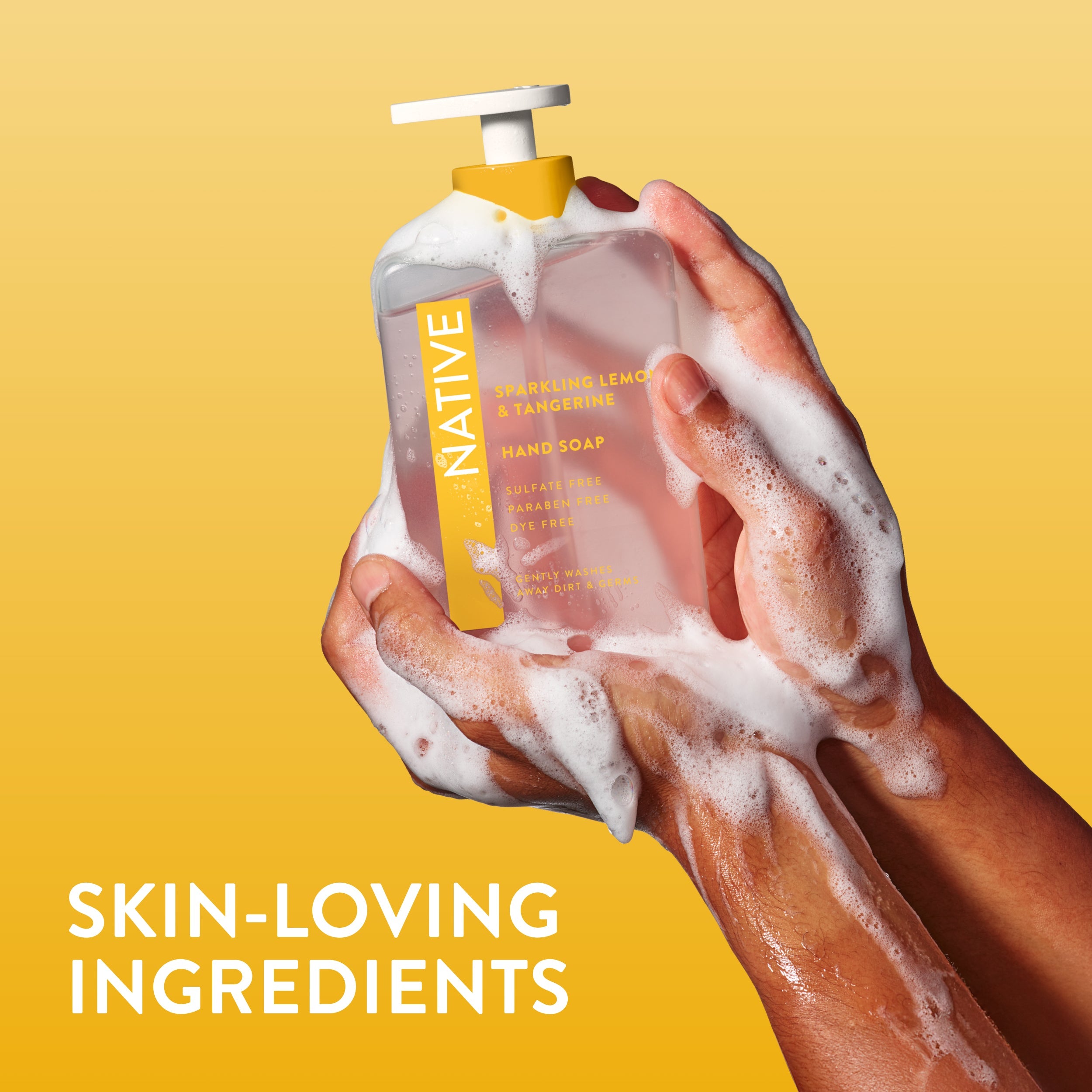 Hand Soap Classic Sparkling Lemon and Tangerine 13oz Daily Routine