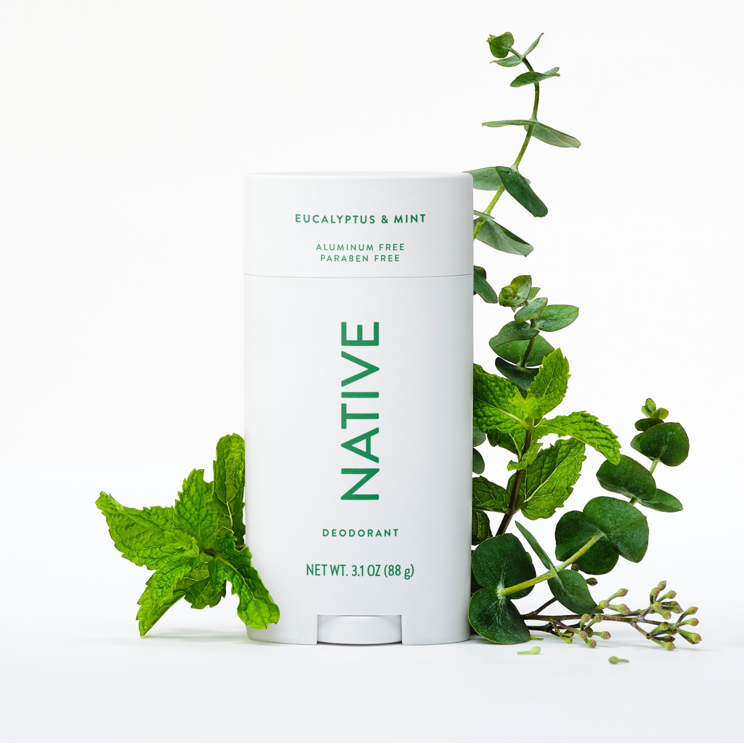 Deodorant Stick Classic Eucalyptus and Mint 3.1oz Daily Routine