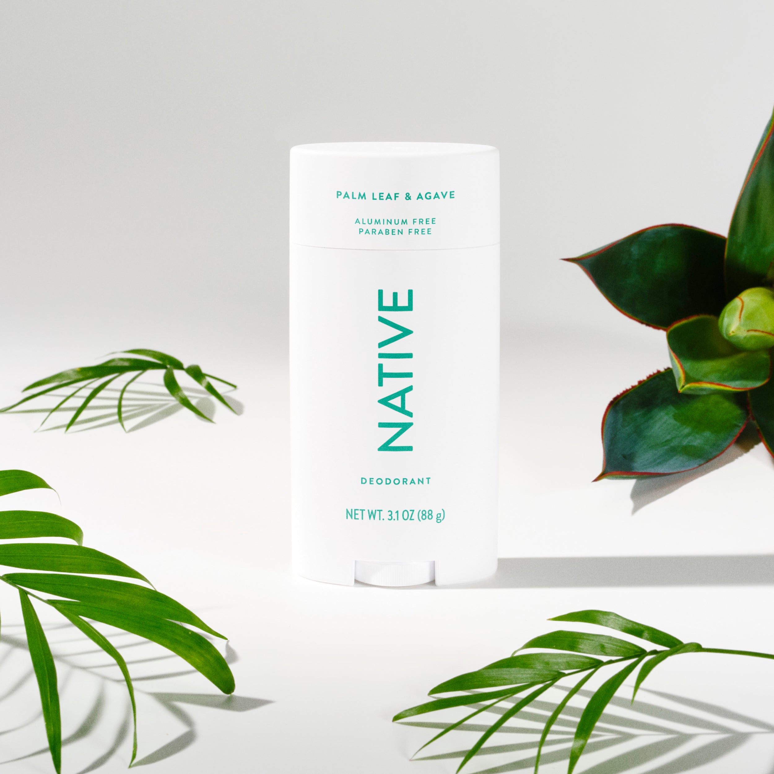 Deodorant Stick Classic Palm Leaf and Agave 3.1oz Daily Routine