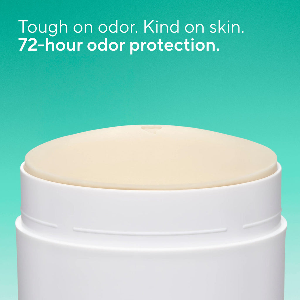 Deodorant Stick Classic Palm Leaf and Agave 3.1oz Daily Routine