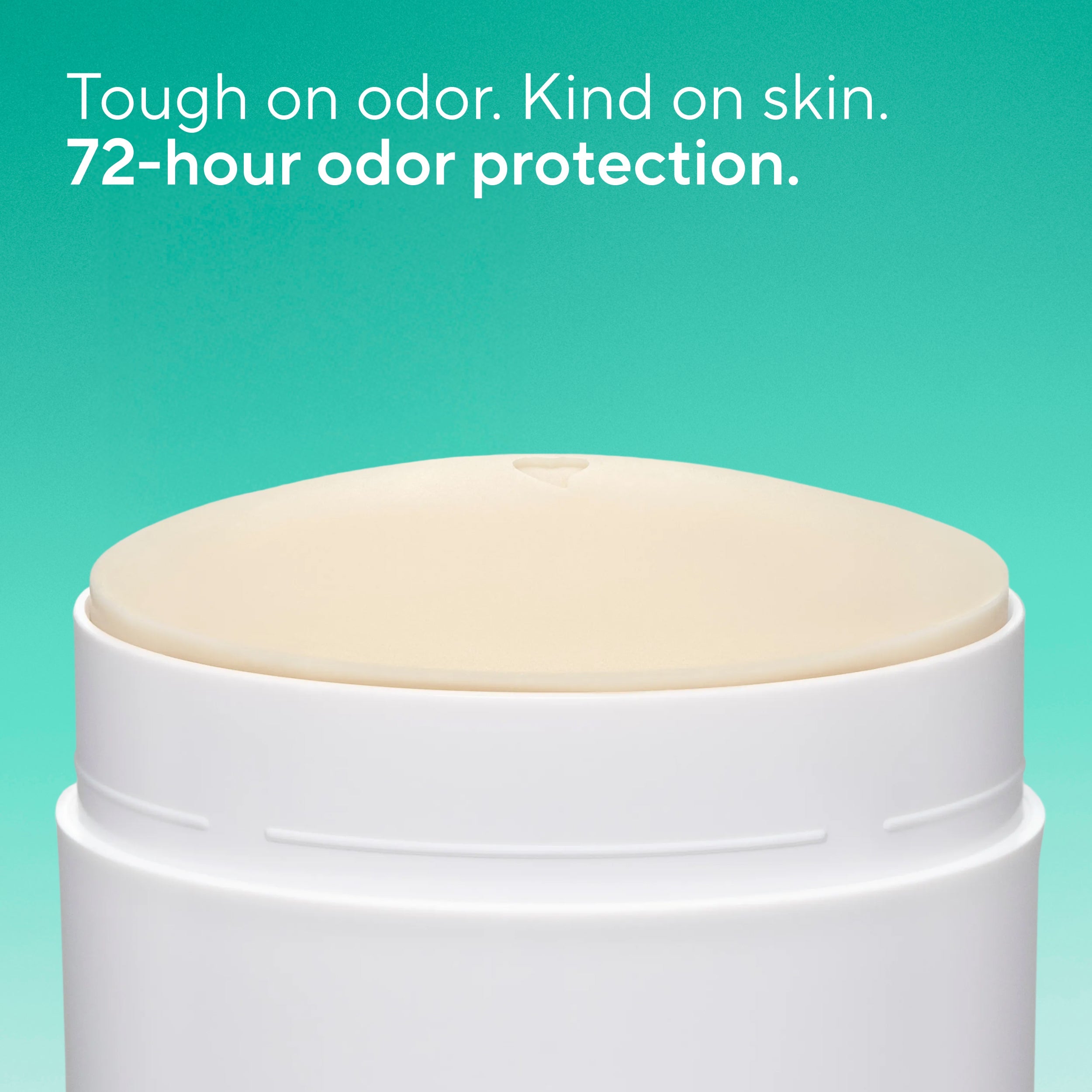 Deodorant Stick Classic Palm Leaf and Agave 3.1oz Daily Routine