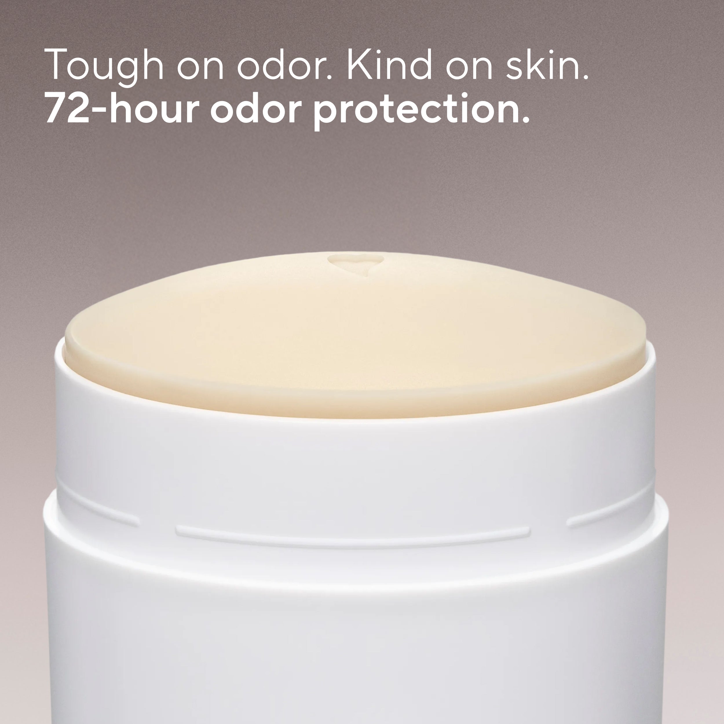 Deodorant Stick Classic Santal and Leather 2.65oz Daily Routine