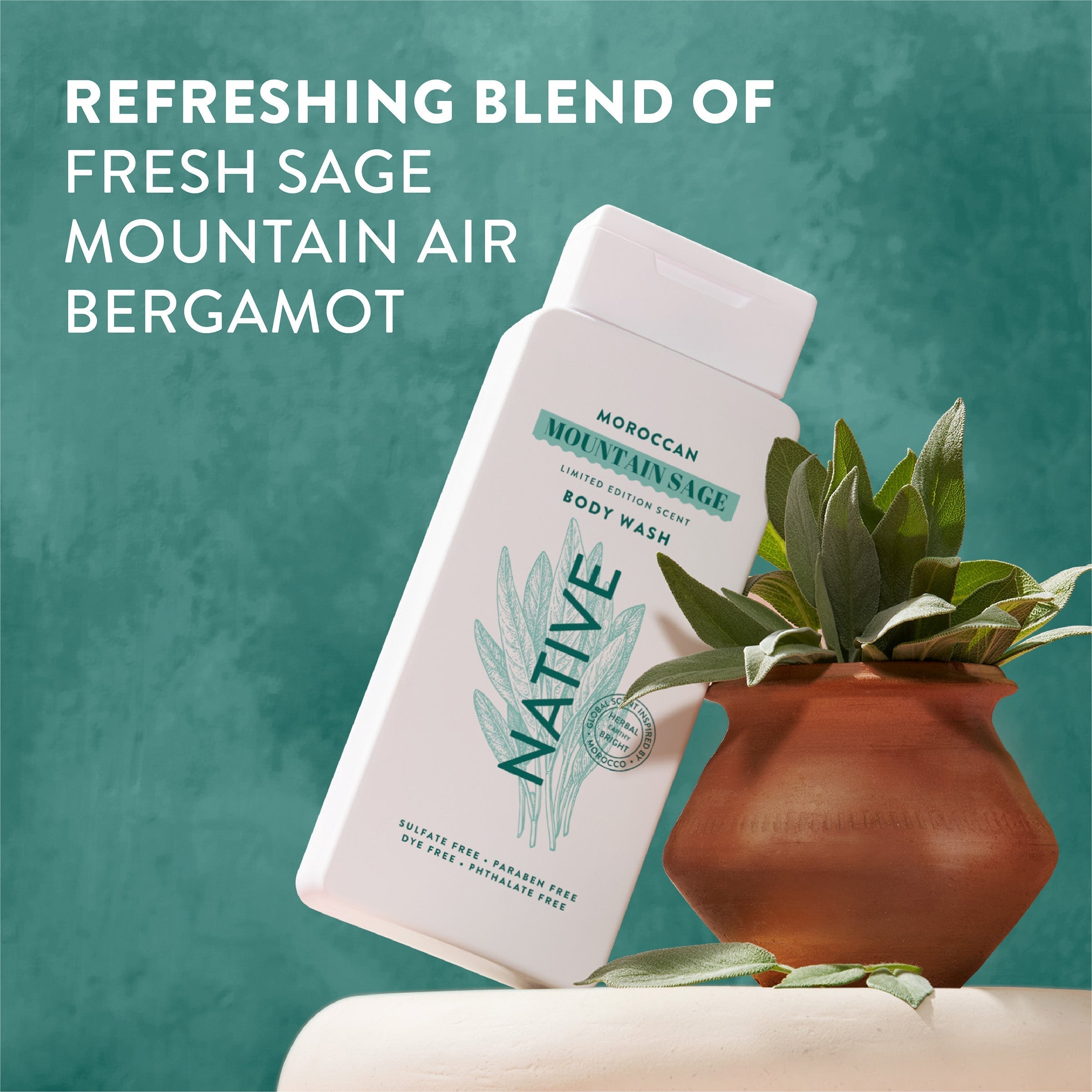 Body Wash Limited Edition Moroccan Mountain Sage 18oz Daily Routine
