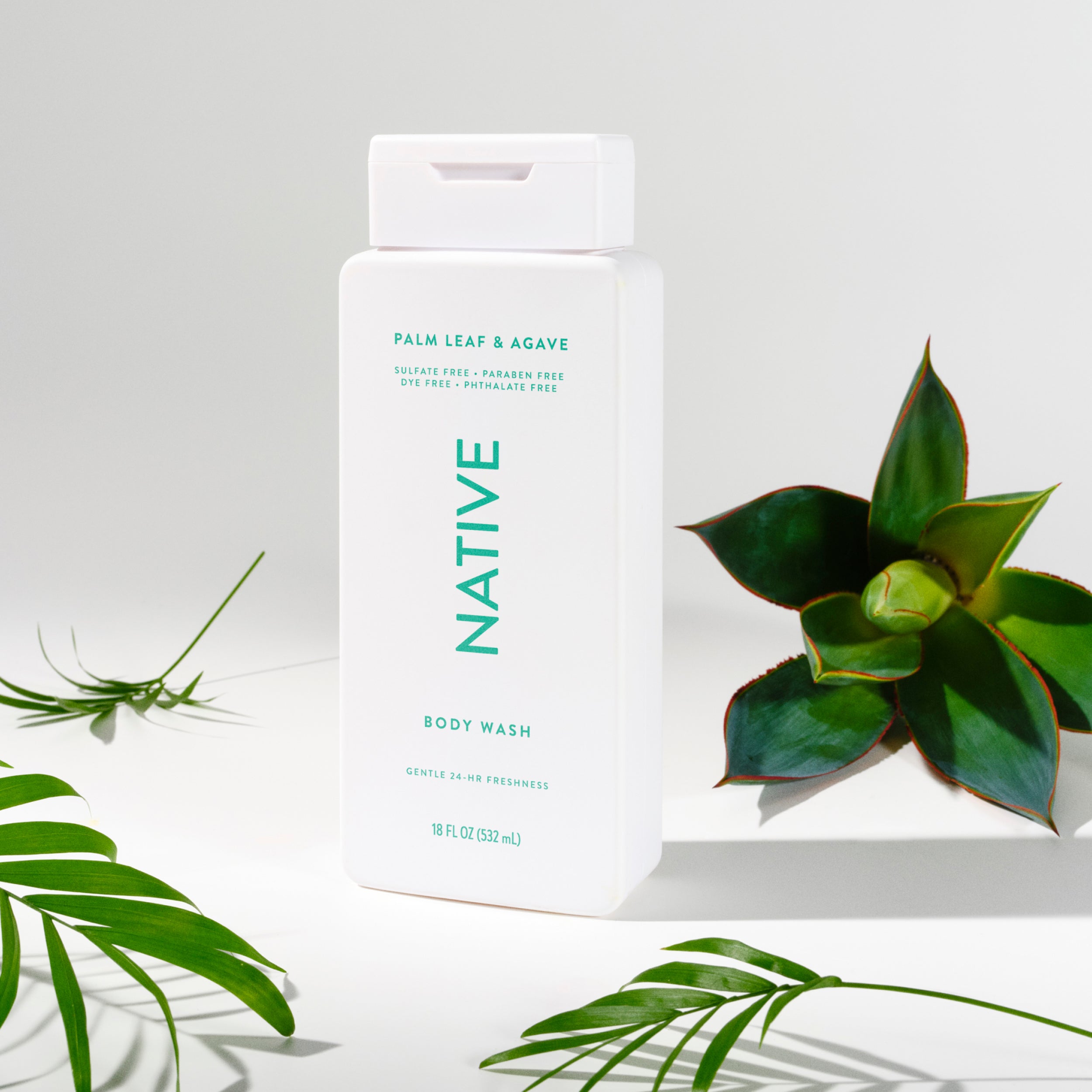 Body Wash Classic Palm Leaf and Agave 18oz Daily Routine