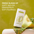 Deodorant Stick Limited Edition Brazilian Honey Melon 2.65oz Daily Routine