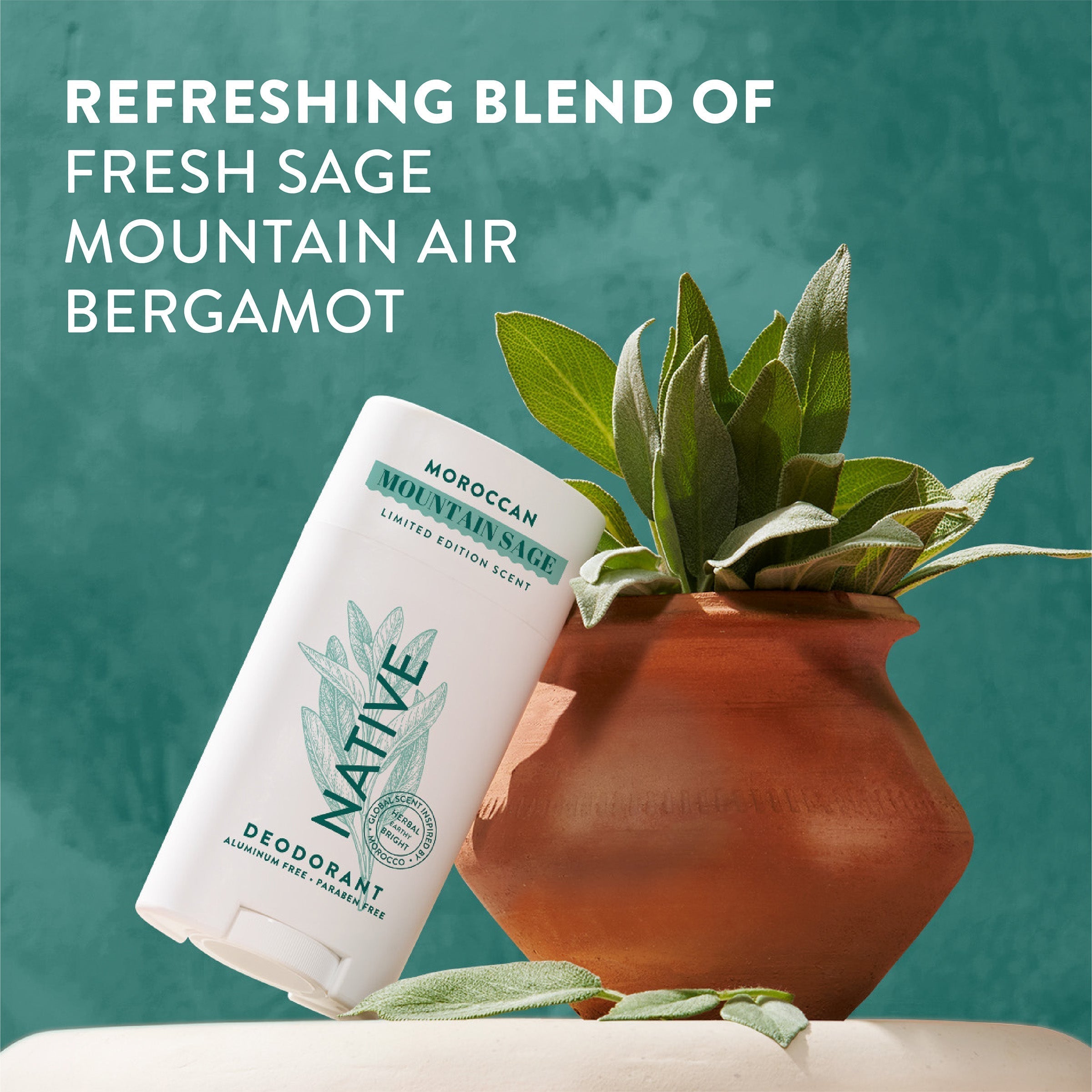 Deodorant Stick Limited Edition Moroccan Mountain Sage 2.65oz Daily Routine