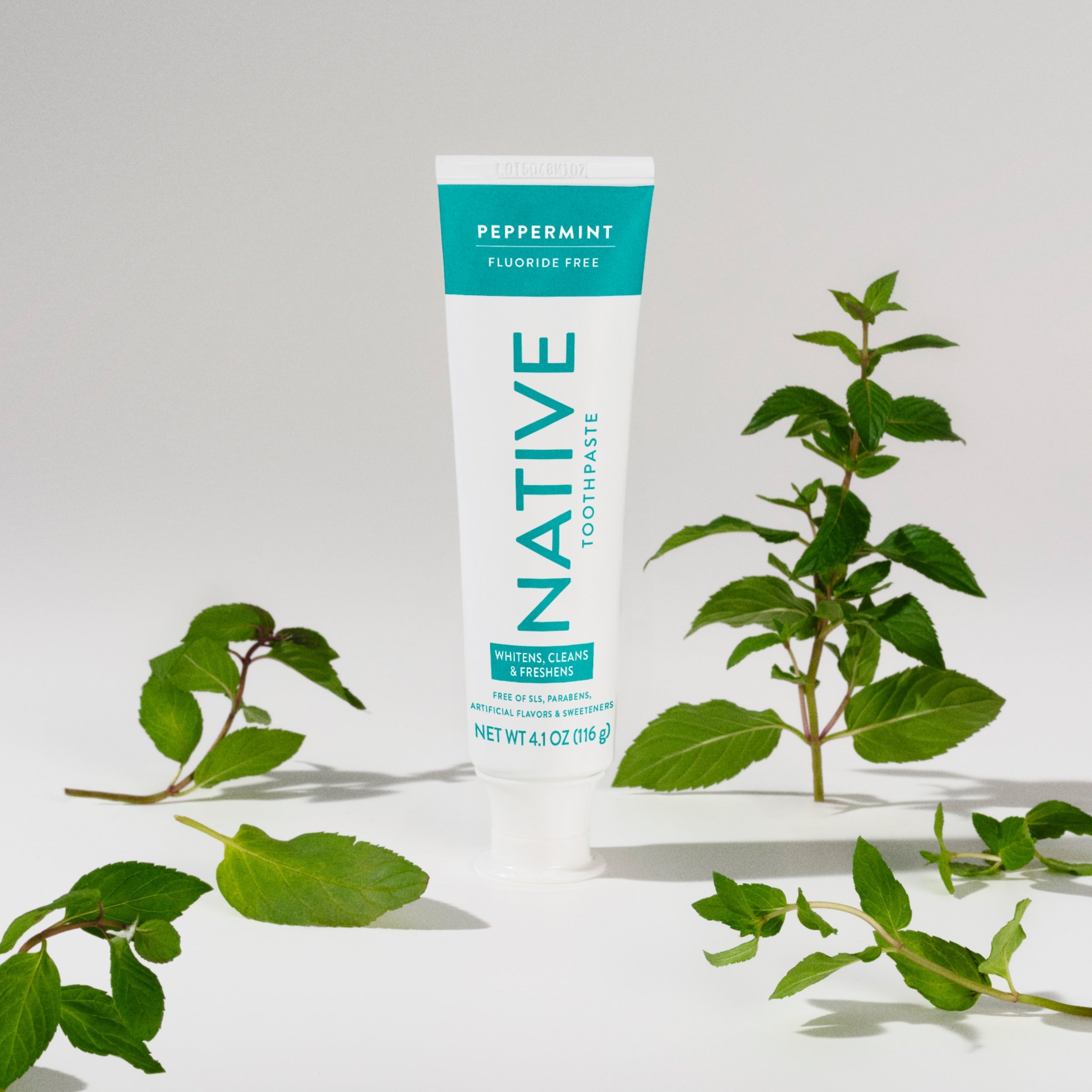 Toothpaste Classic Peppermint 4.1oz Daily Routine