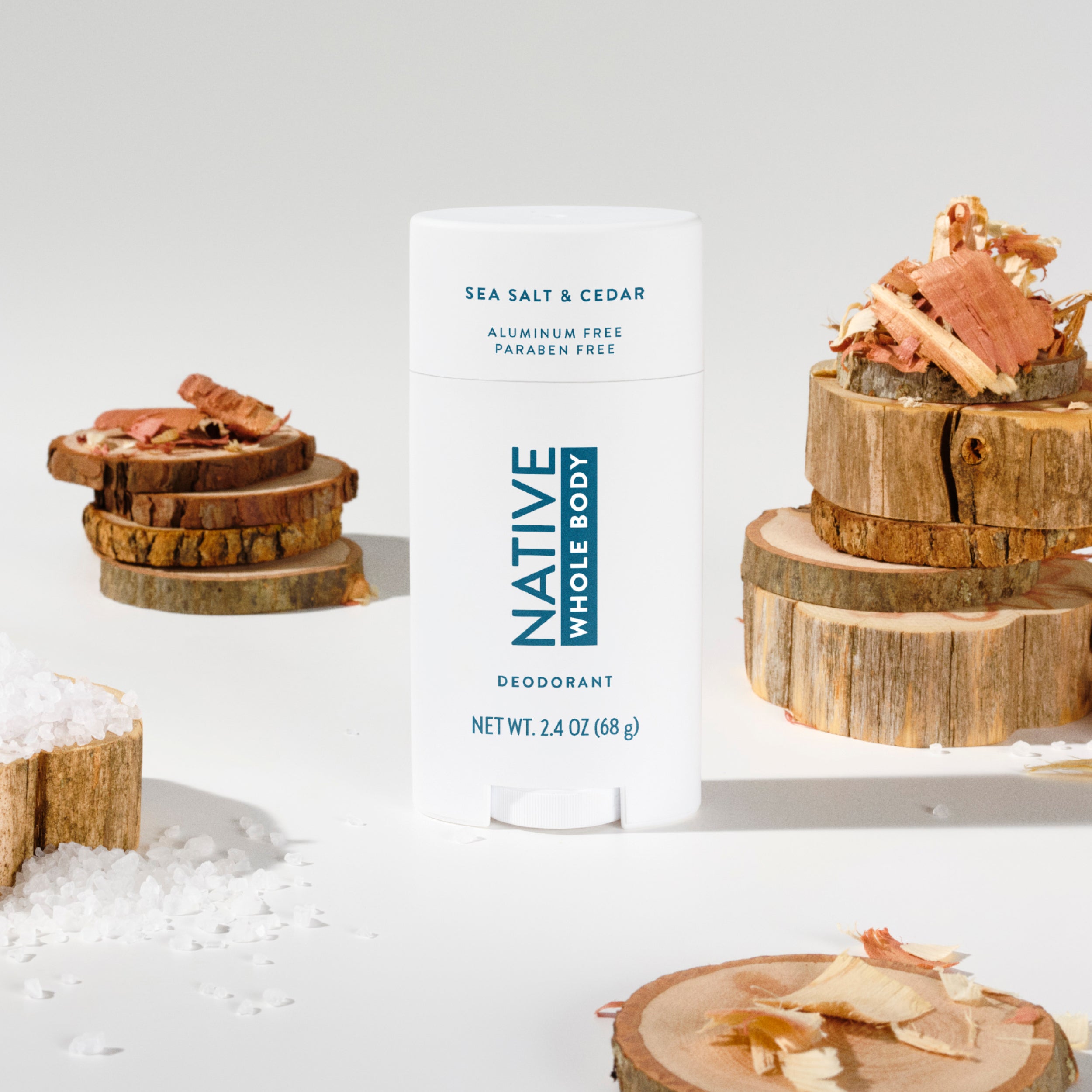 Whole Body Deodorant Stick Classic Sea Salt and Cedar 2.4oz Daily Routine