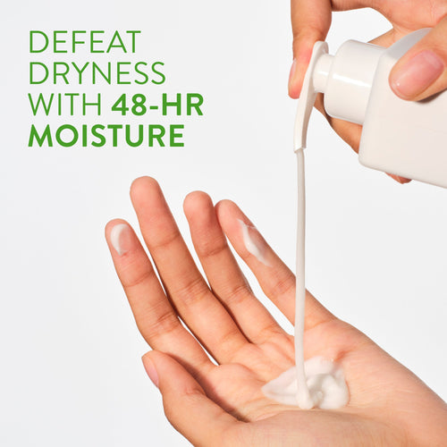 Body Lotion Classic Cucumber and Mint 16.5oz Daily Routine