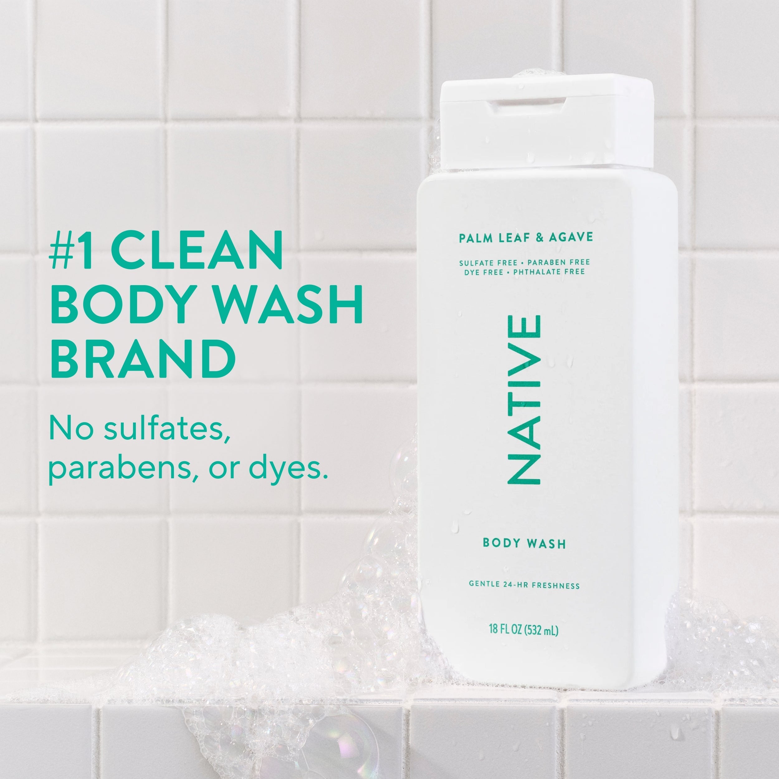 Body Wash Classic Palm Leaf and Agave 18oz Daily Routine