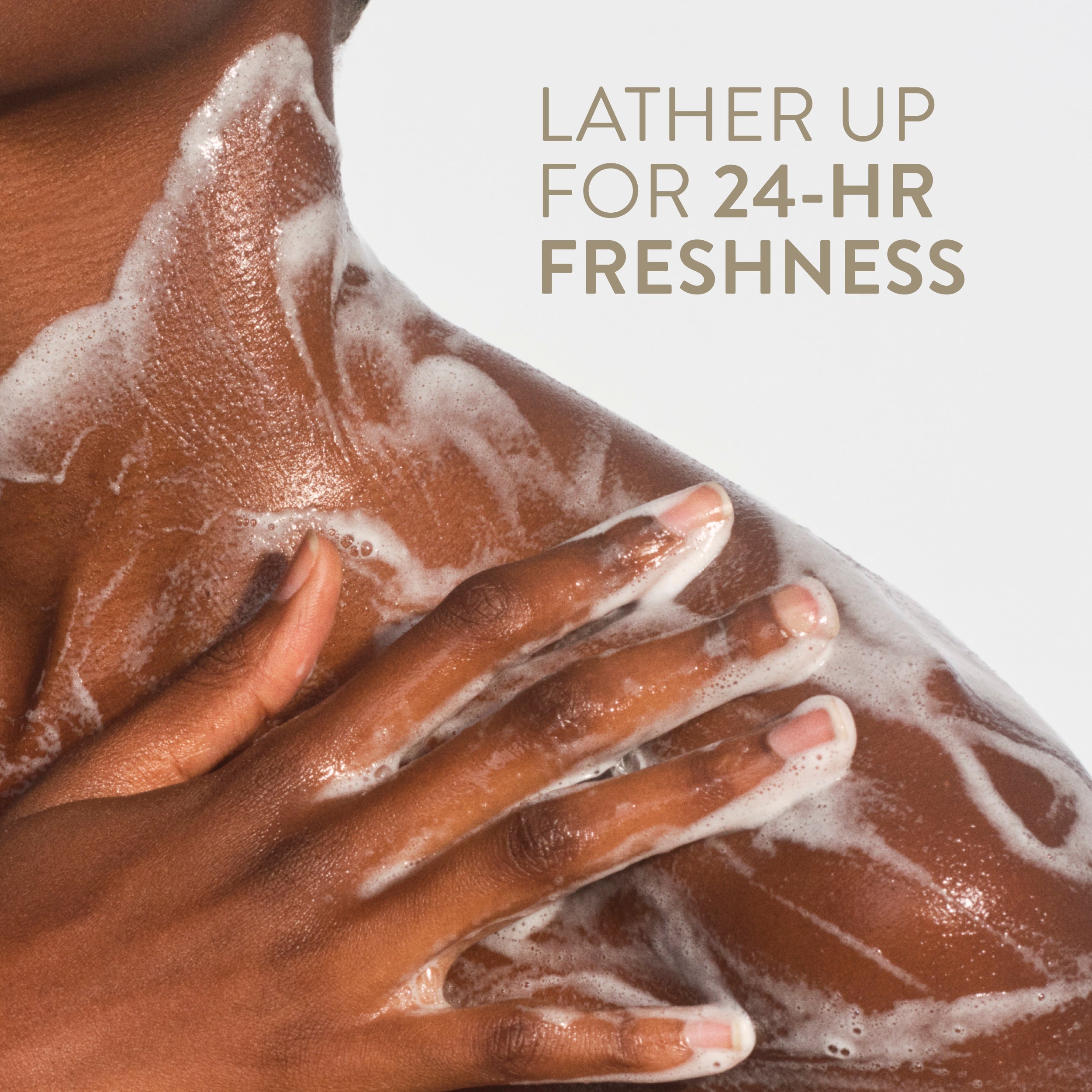 Body Wash Classic Sandalwood and Shea Butter 18oz Daily Routine