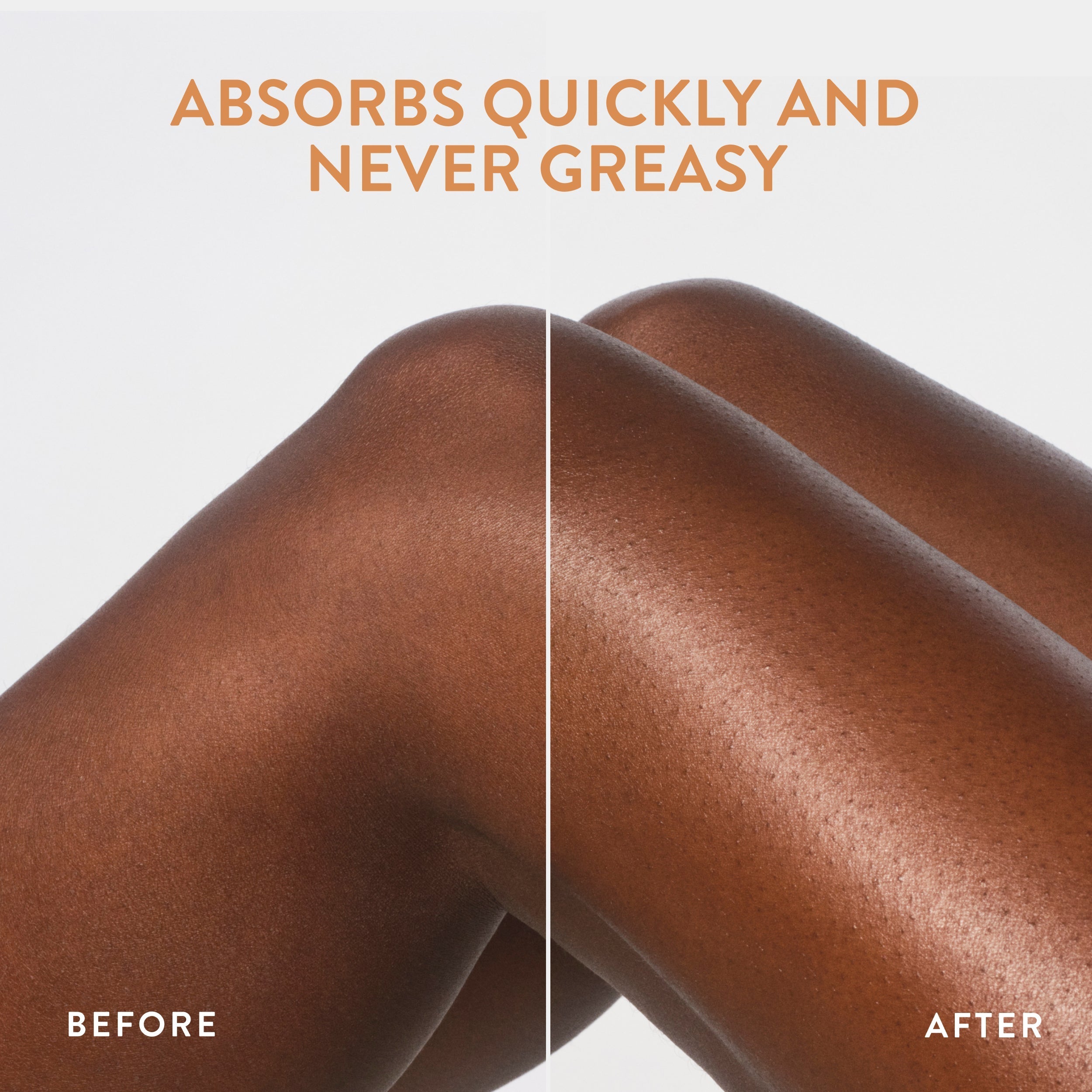 Body Lotion Classic Toasted Vanilla and Honey 16.5oz Daily Routine