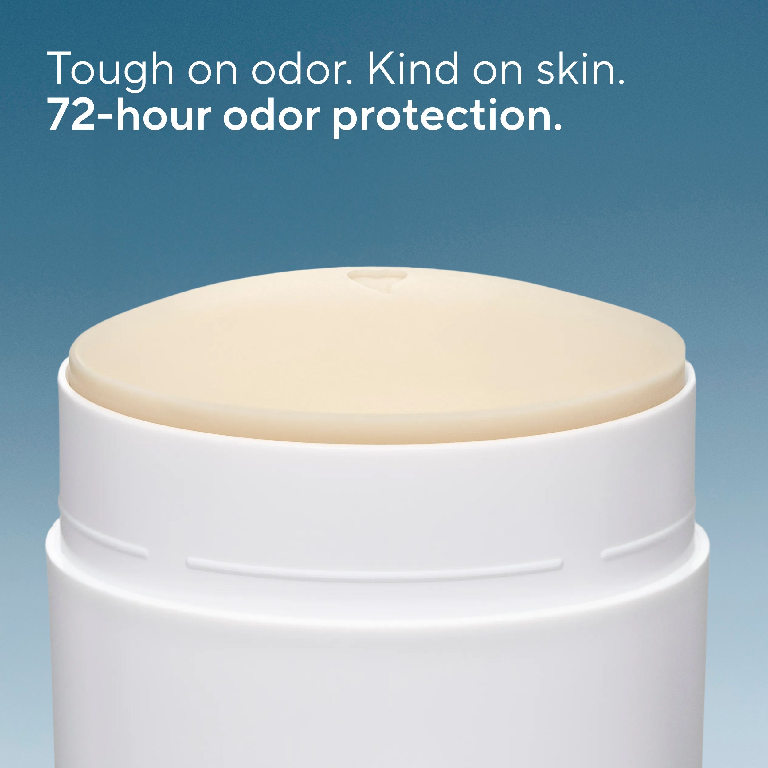 Whole Body Deodorant Stick Classic Sea Salt and Cedar 2.4oz Daily Routine