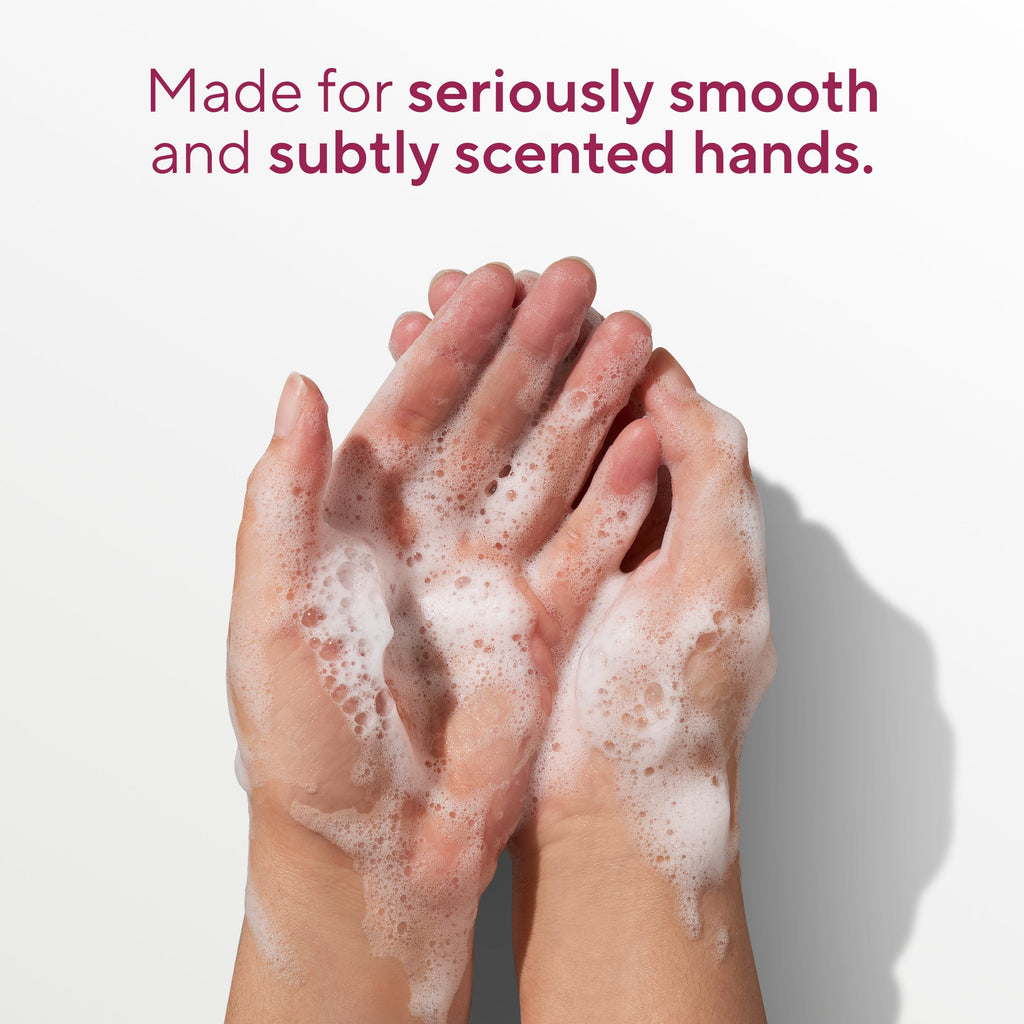 Hand Soap Classic Cherry and Vanilla Macaron 13oz Daily Routine