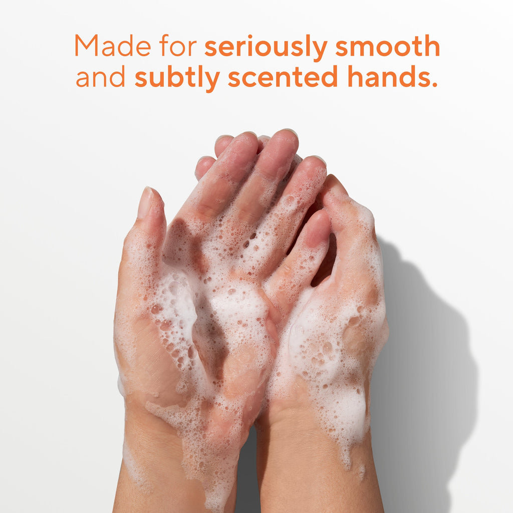 Hand Soap Classic Sweet Peach and Nectar 13oz Daily Routine