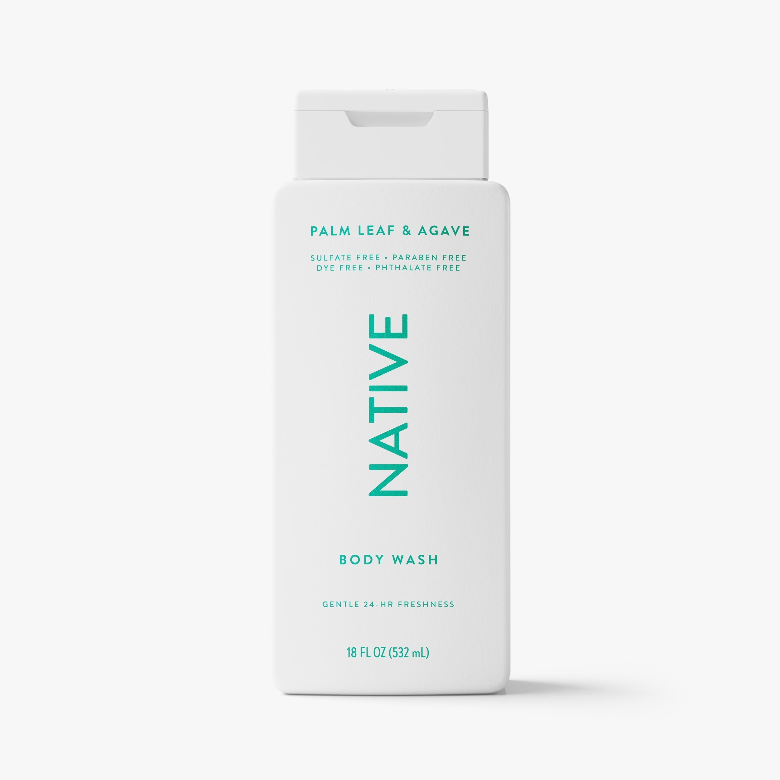 Body Wash Classic Palm Leaf and Agave 18oz Daily Routine