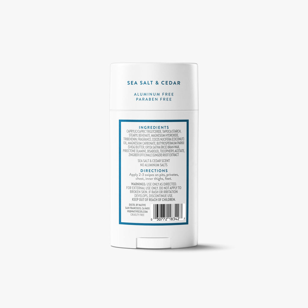 Whole Body Deodorant Stick Classic Sea Salt and Cedar 2.4oz Daily Routine