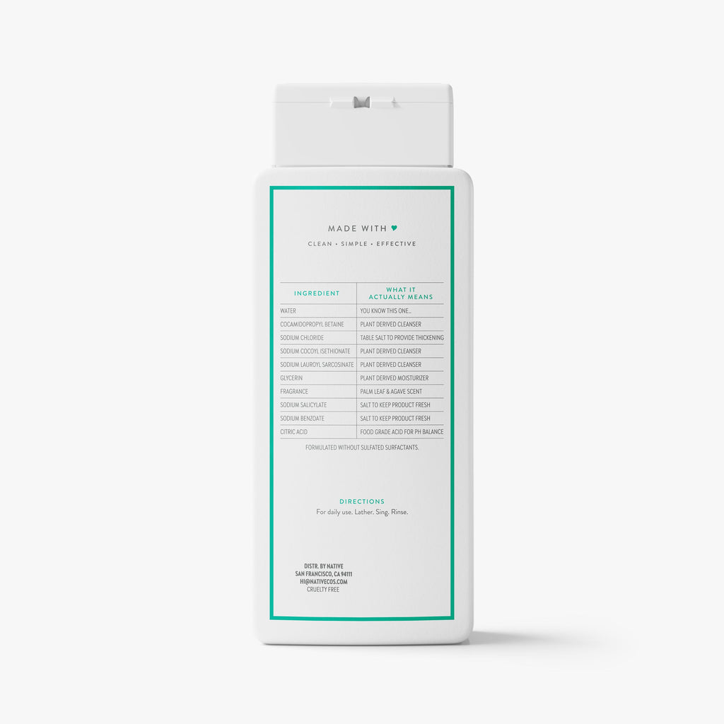 Body Wash Classic Palm Leaf and Agave 18oz Daily Routine